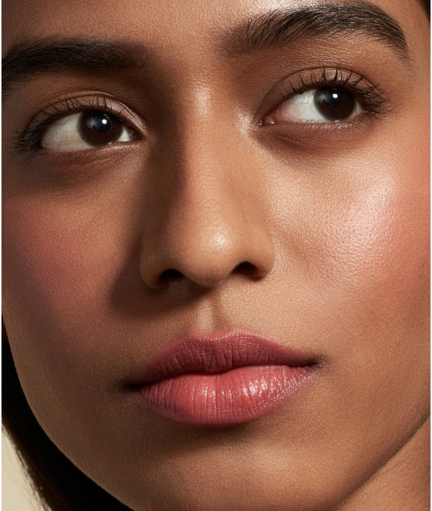 All You Need - Limited Edition (Copy) - Image 3